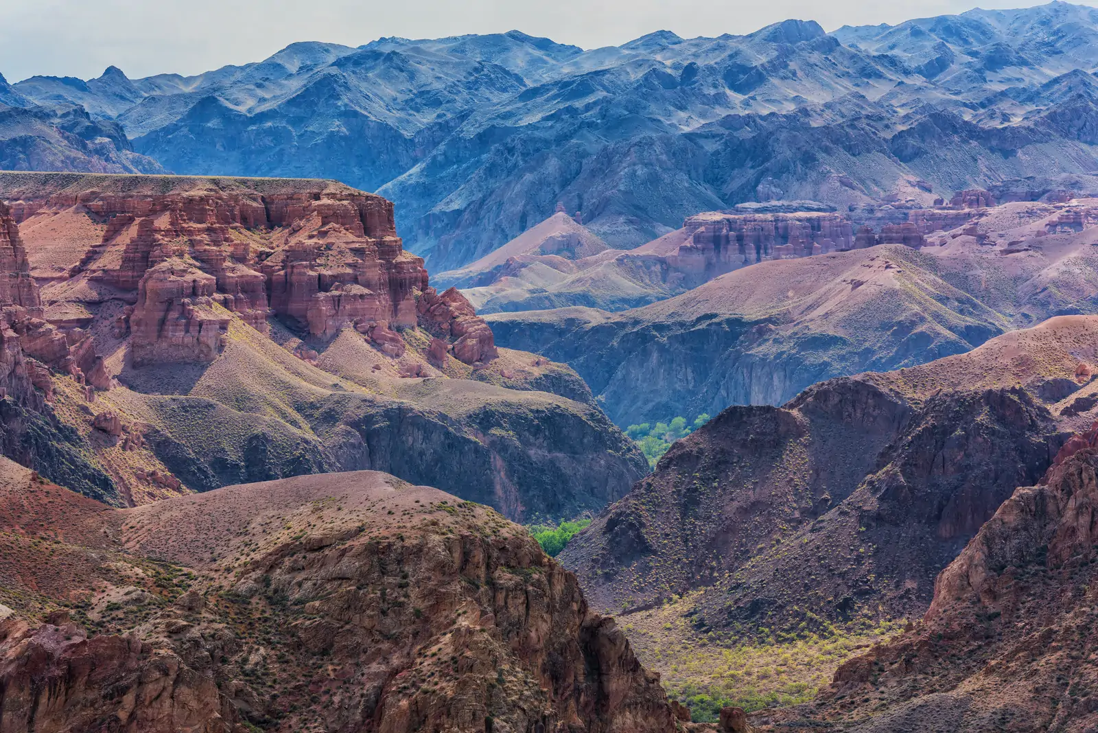 A wide view over the red cliffs of a canyon in the Almaty Region