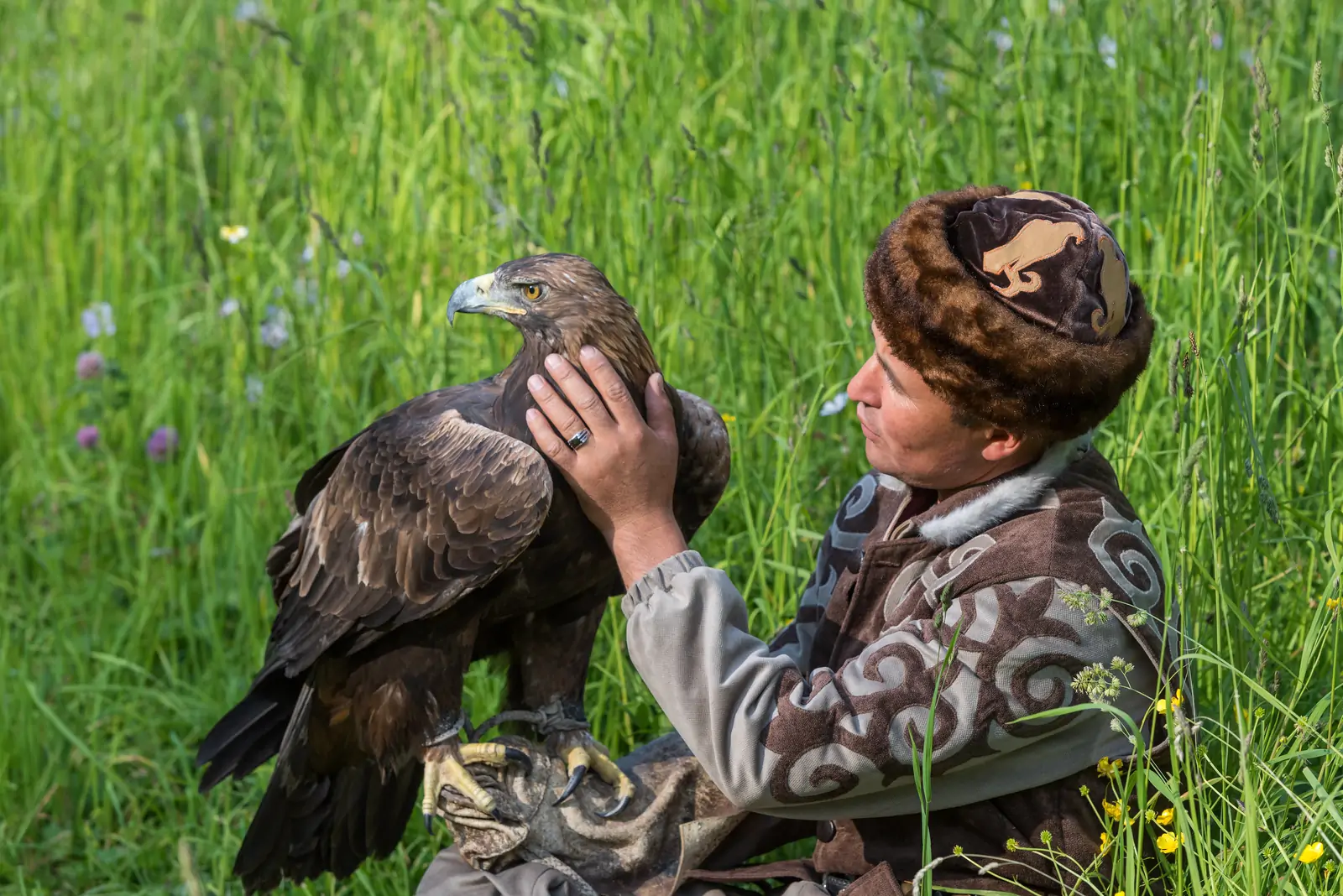 A Kazakh eagle hunter with a golden eagle